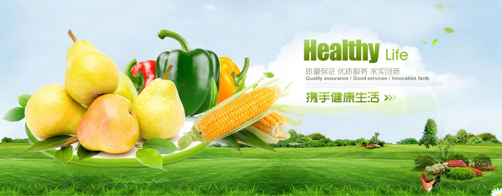 大連長(zhǎng)興島經(jīng)濟(jì)區(qū)廣福小學(xué)（越益麗）